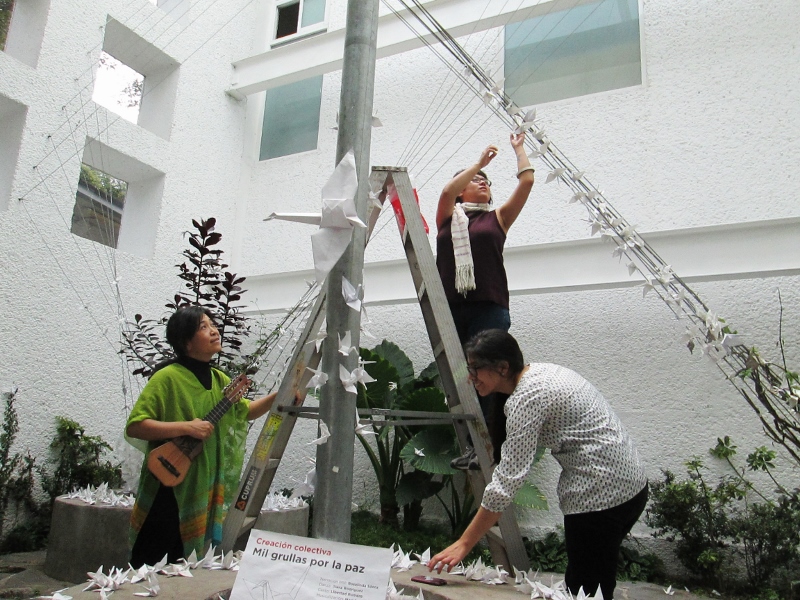 ultimo proceso casa del lago