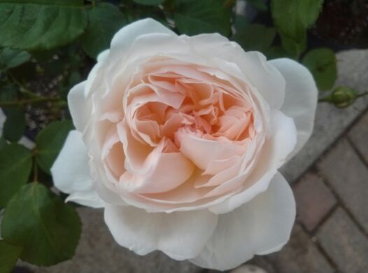 rblog-20140523200101-01.jpg