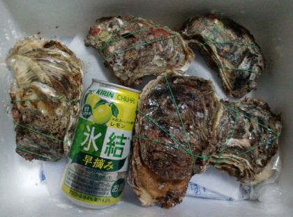 カキ大きさ比較.jpg