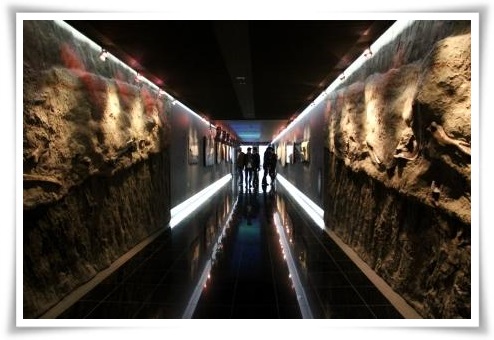 恐竜博物館-16 化石の壁の有る廊下 14.3.19
