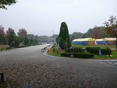 芝生広場通路クリスマスイルミネーション