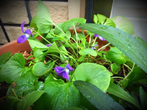 rblog-20160426005323-03.jpg