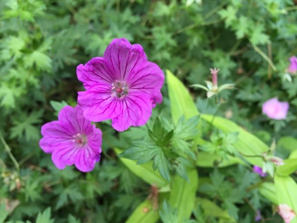 rblog-20160630185335-04.jpg