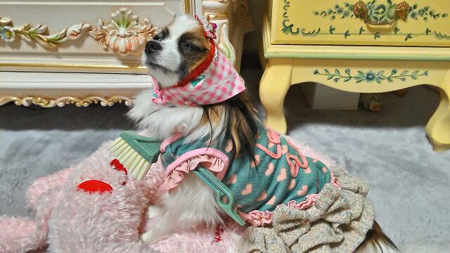 rblog-20141229034054-01.jpg