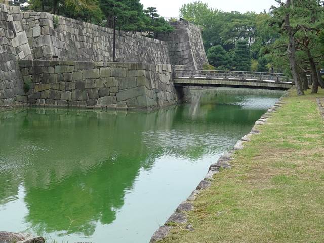DSC05603_R.JPG