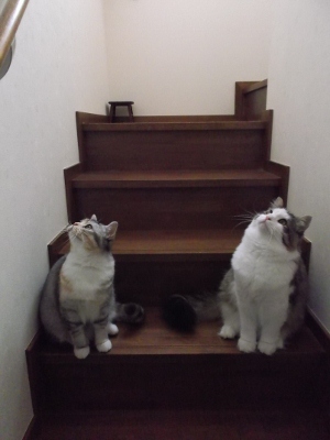 DSCF1165 (300x400).jpg
