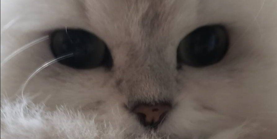 徒然なるままに。。。
