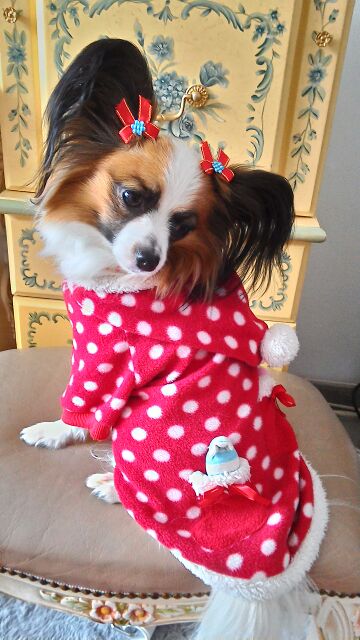 rblog-20141207171000-00.jpg
