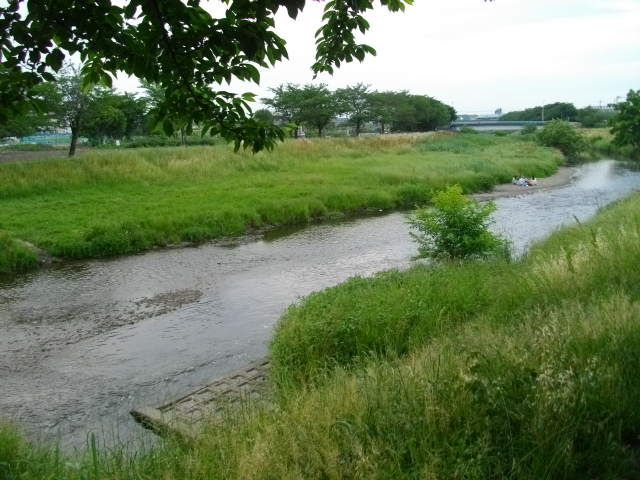 黒目川　＆　スーパーセール商品 016.JPG