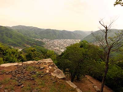 IMG_2464.jpg
