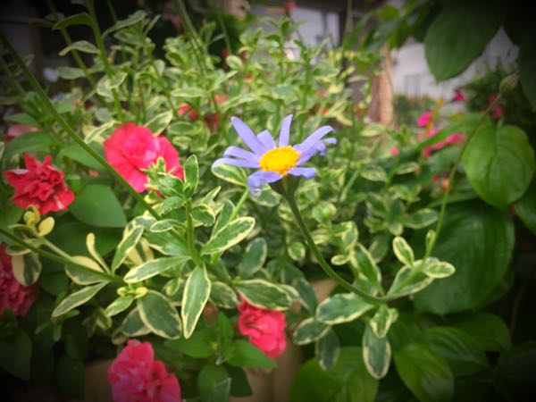 rblog-20160530191918-03.jpg