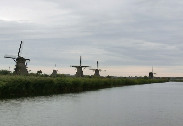 ｷﾝﾃﾞﾙﾀﾞｲｸ