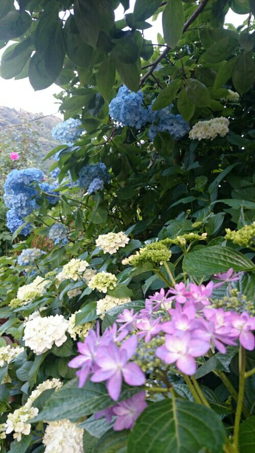 rblog-20160604160530-01.jpg