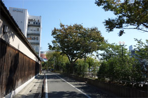 九州810.jpg
