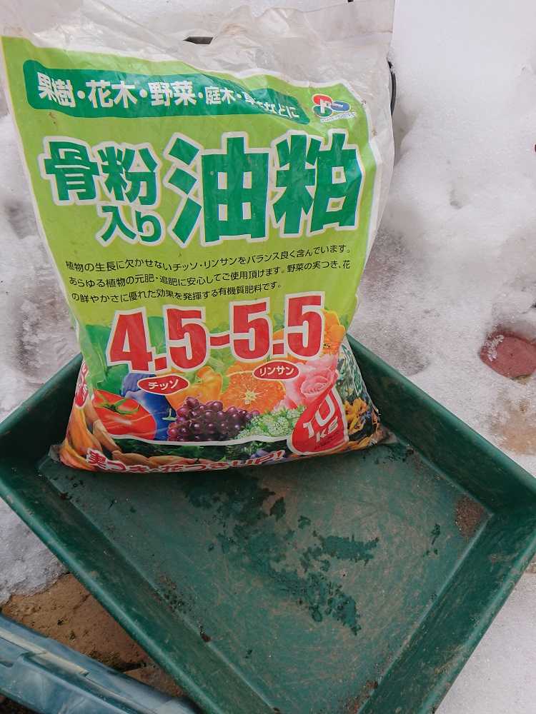 つるバラに寒肥 バラ色のミニガーデン 楽天ブログ