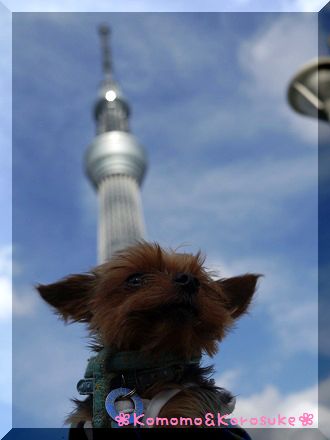 P1150447.jpg