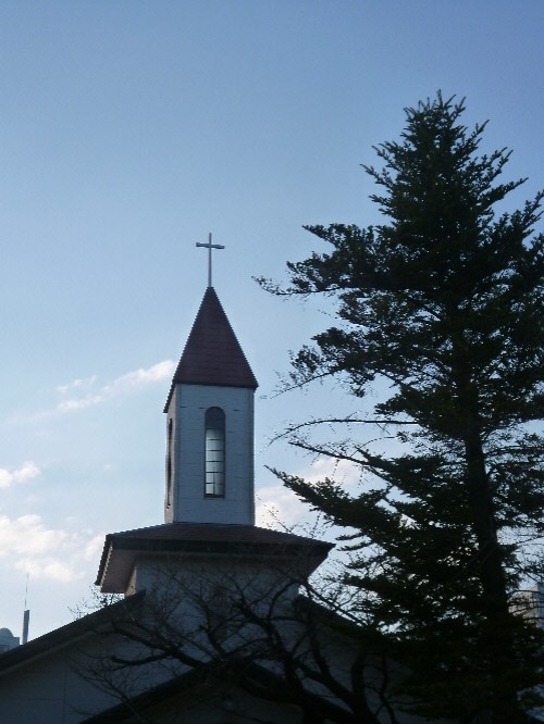 P1080048(1).JPG