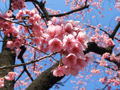 荏原神社にて