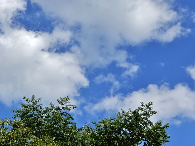 空2
