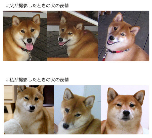 ツボ