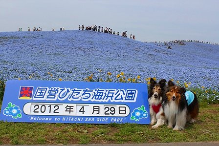 IMG_9153.jpg