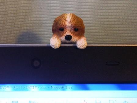 P1130016（犬）.jpg