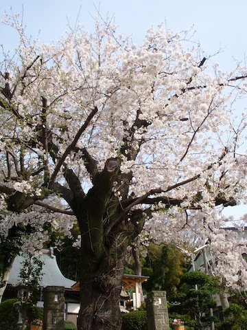 DSCN3822.jpg