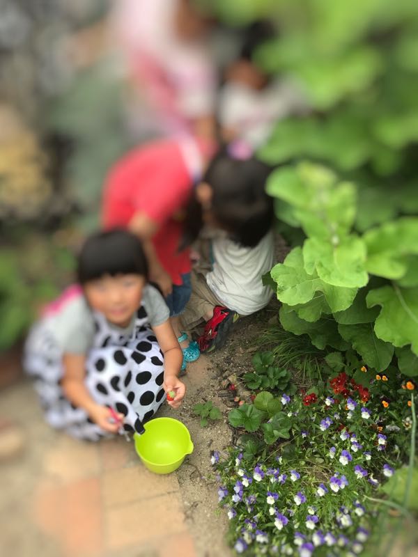 rblog-20180604001631-06.jpg
