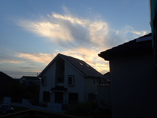 1609100055.JPG