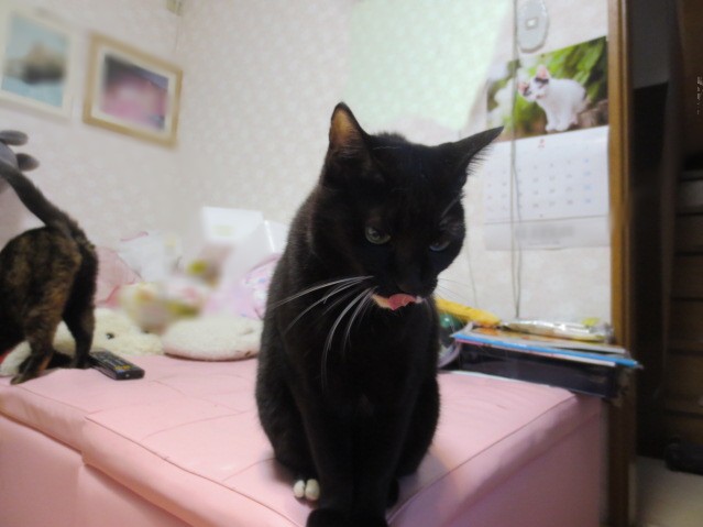 無題-24bitカラー-05.jpg