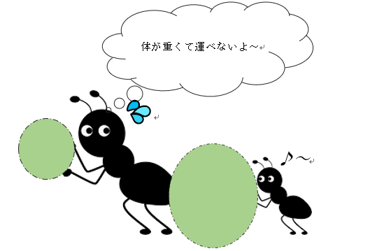 2ページ目の記事一覧 サポートいび 昆虫通信 楽天ブログ