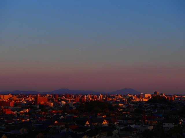 s-P4280048.jpg