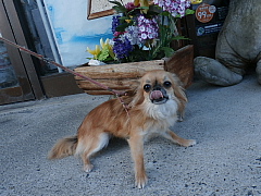 conv0528.JPG