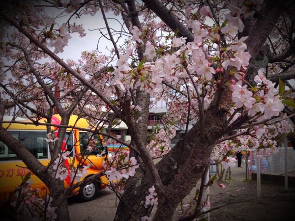 rblog-20160415151541-00.jpg