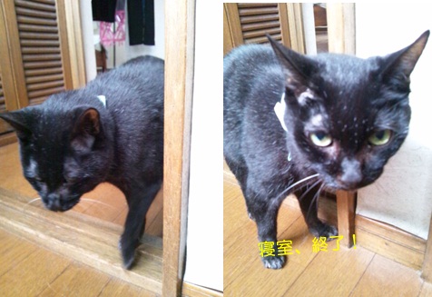 20120723_2.jpg