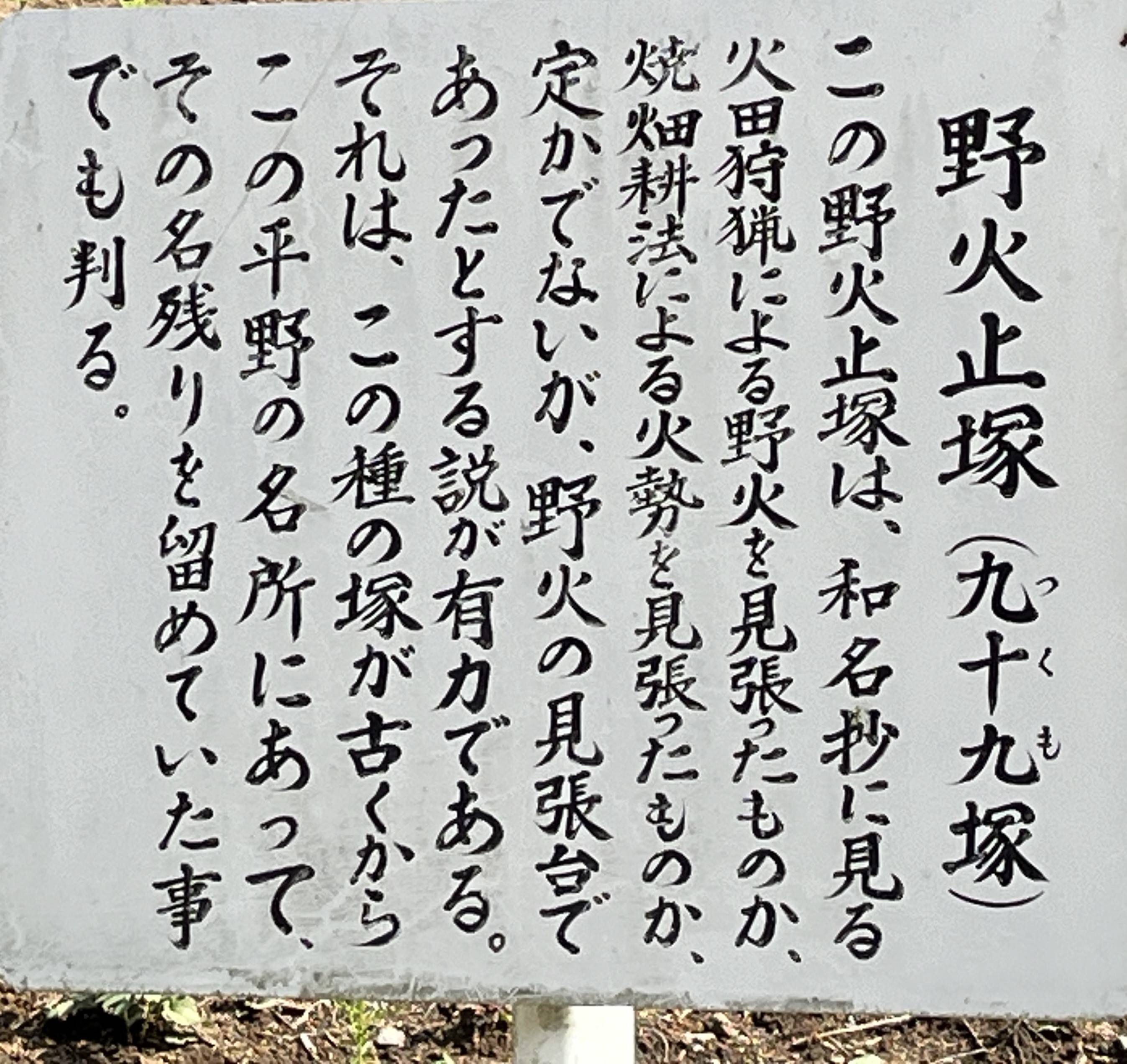 75:平林寺②境内林その1 | さとしのぶらり風景