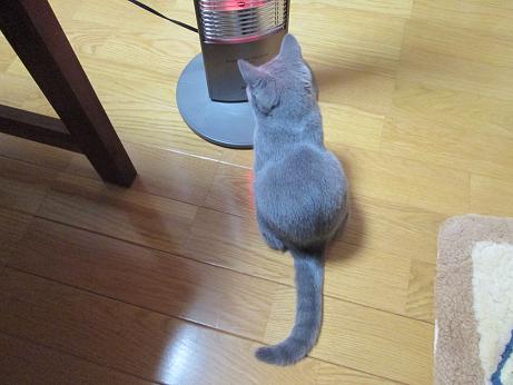 あたたまります.JPG