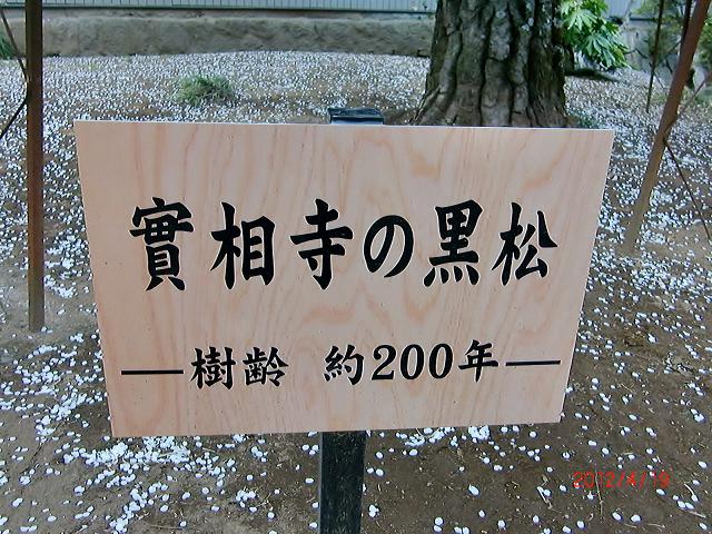 052om.jpg