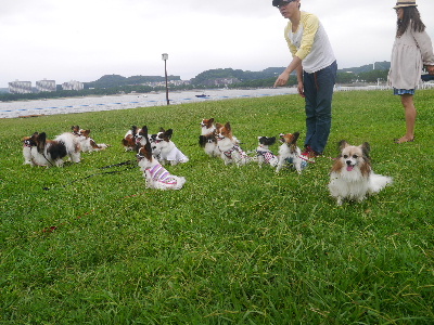 ２０１２八景島オフ会１９.JPG