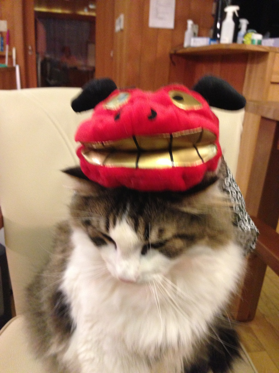 新年レオ写真-13.jpg