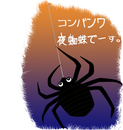 スパイダー.jpg