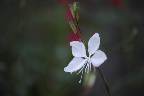 20140927c.JPG