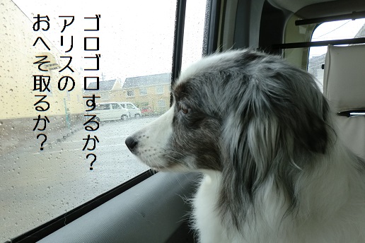 へそ