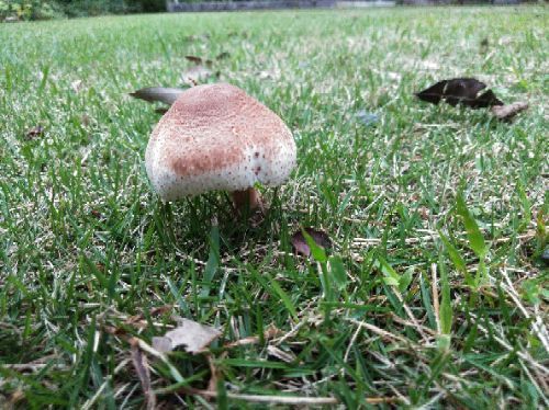 rblog-20180921144508-01.jpg