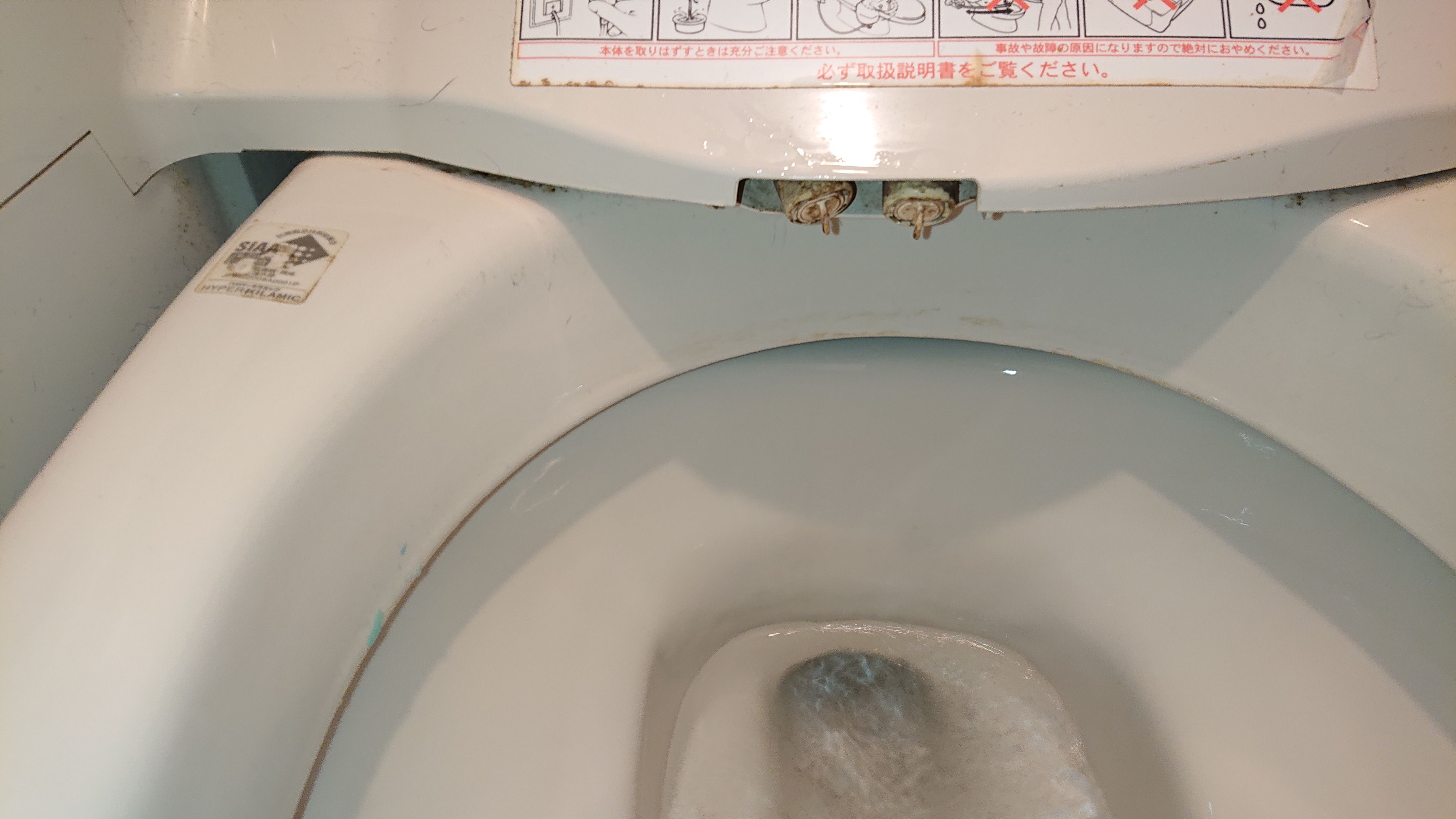 トイレ（人用）の尿石落とし 猫たちのブログ 楽天ブログ
