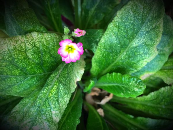 rblog-20160630184033-02.jpg