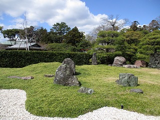 IMG_7384ss.jpg