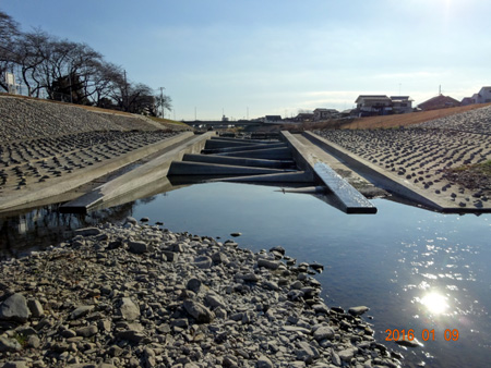 南浅川河口の魚道.jpg