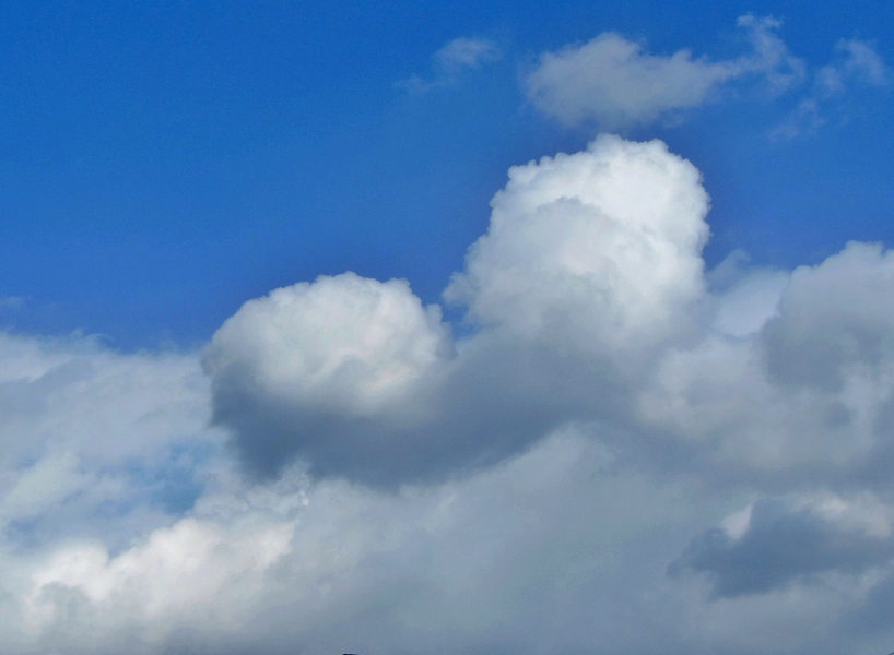 空4.JPG