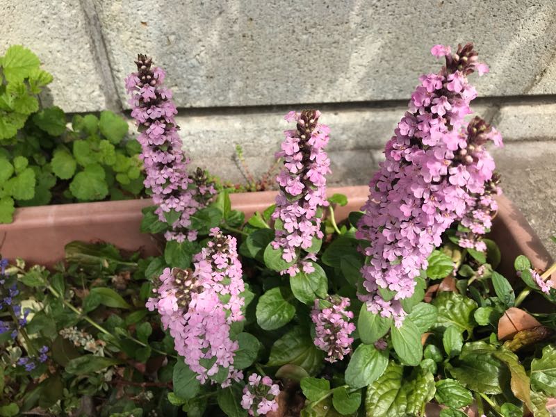 rblog-20190421190226-06.jpg